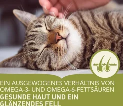 ACANA Trockenfutter für Katzen Adult Cat Indoor Entrée