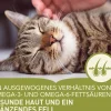 ACANA Trockenfutter für Katzen Adult Cat Bountiful Catch