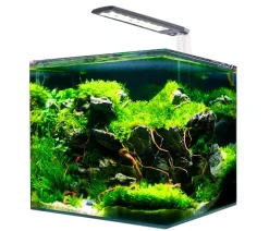amtra Aquarium-Set Nanotank System