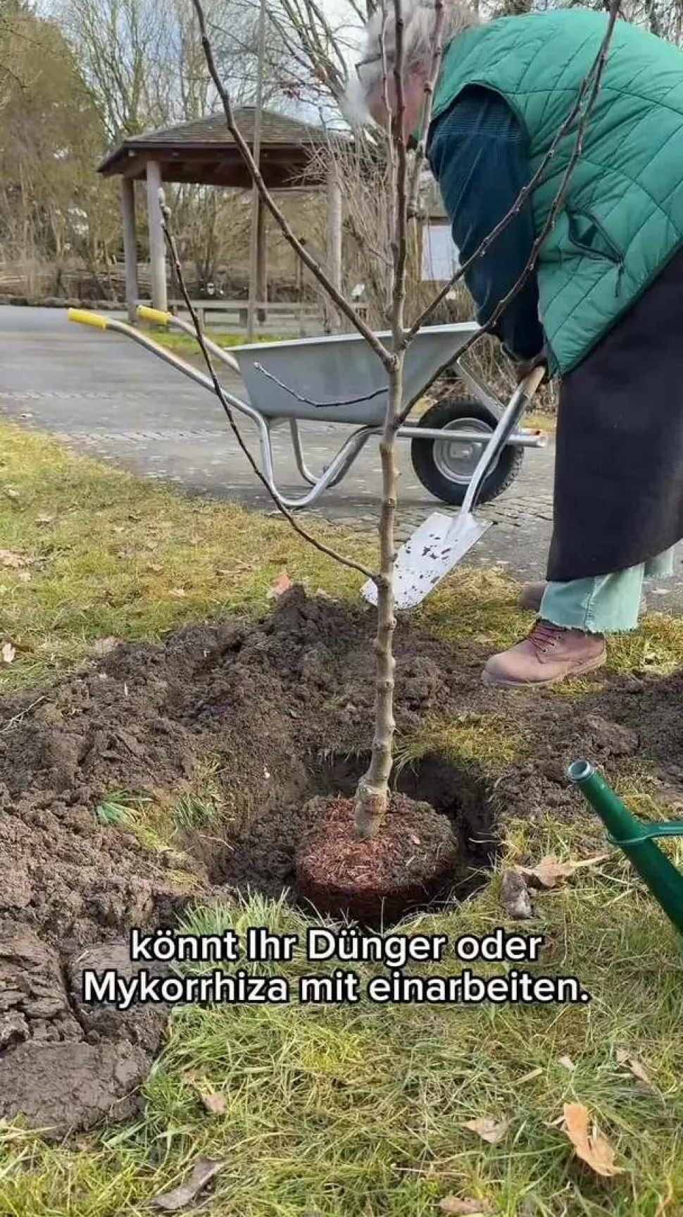 Apfel-Duo 'Elstar/James Grieve'