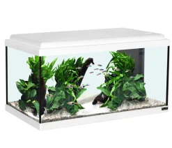 aquatlantis Aquarium Advance 60 LED Set