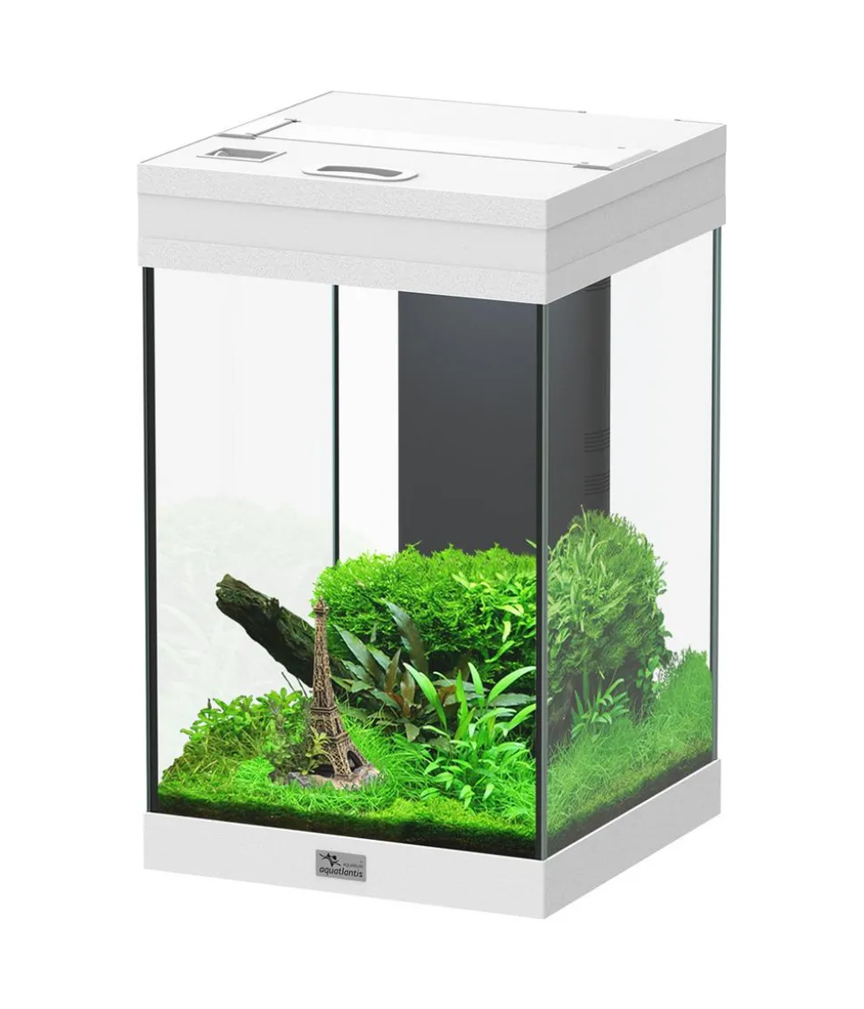 aquatlantis Aquarium Aqua Tower 43