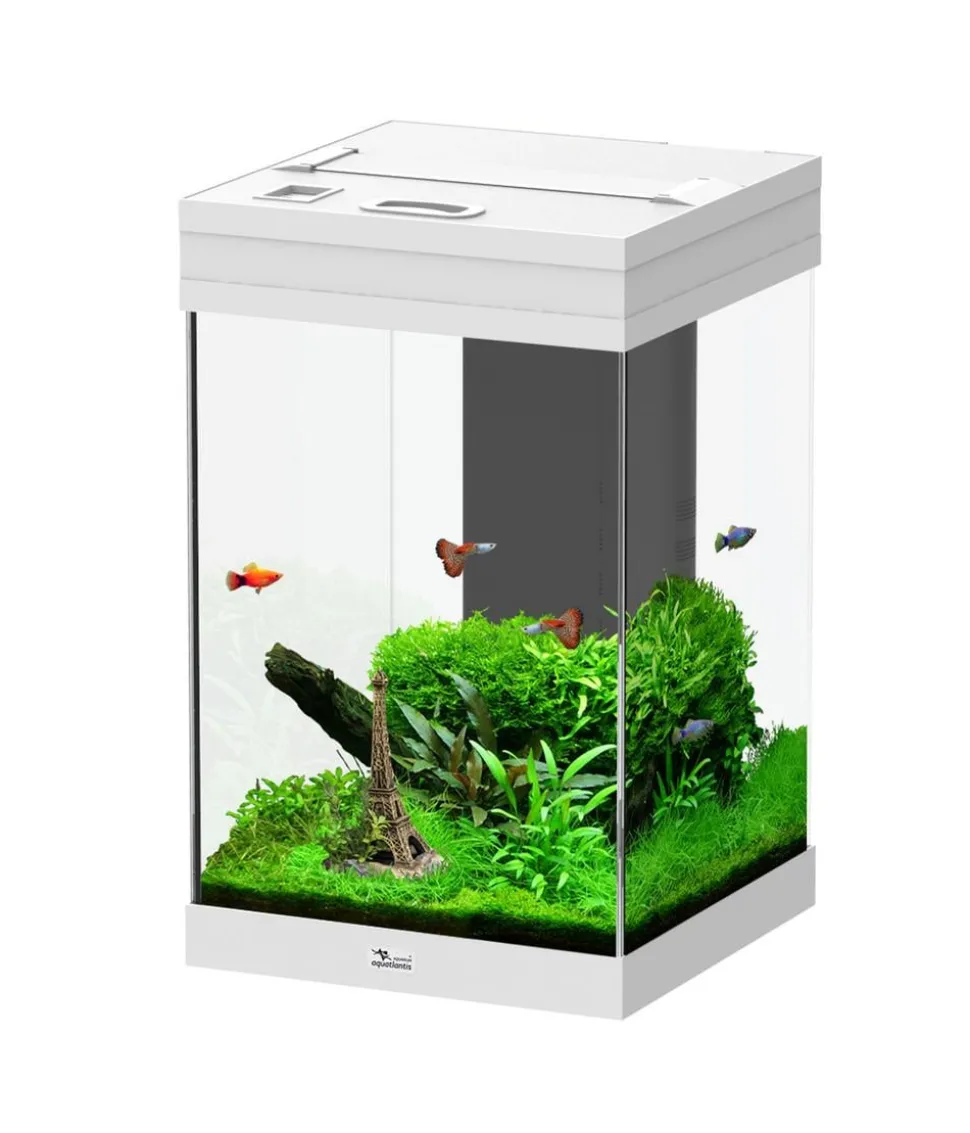 aquatlantis Aquarium Aqua Tower 43