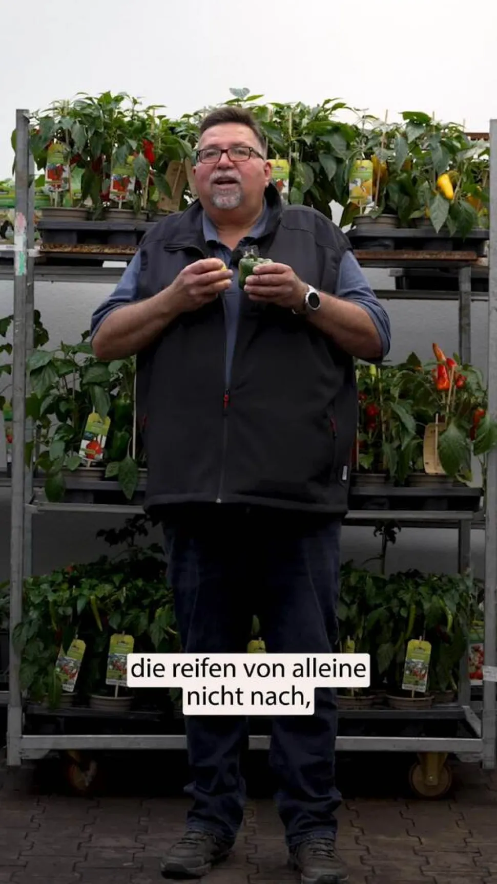 Balkonpaprika