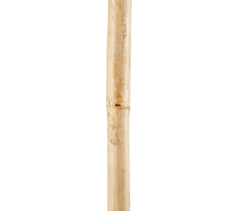 Bambusstäbe