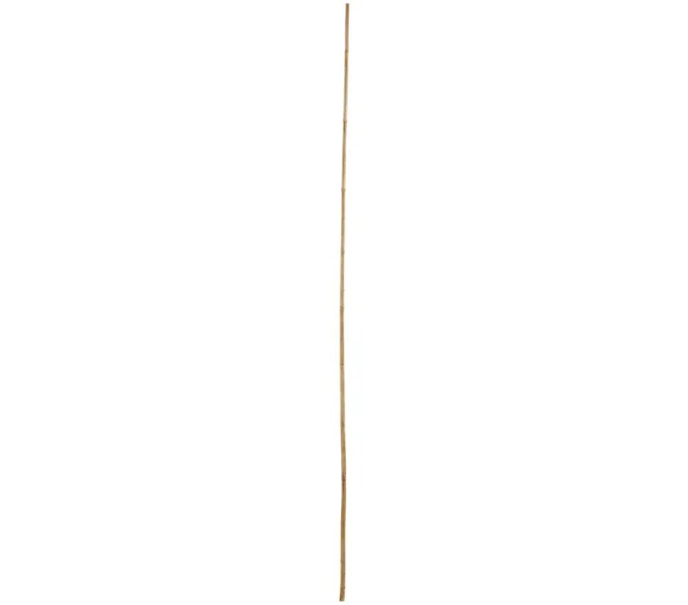 Bambusstäbe