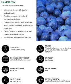 Beeren-Set Marmeladen-Mix, 4-teilig
