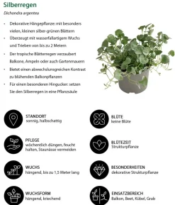 Beet- & Balkonpflanzen-Set Balkonromanze, 6-teilig