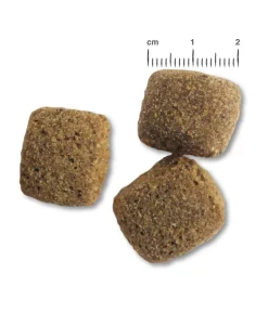 BELCANDO® Trockenfutter für Hunde Maxi Junior