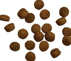 BELCANDO® Trockenfutter für Hunde Baseline Buddy, Adult, Geflügel, 12,5 kg