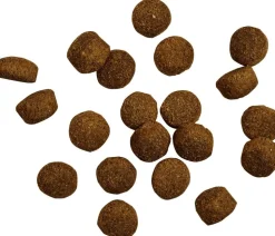 BELCANDO® Trockenfutter für Hunde Baseline Fisher Adult, Geflügel & Fisch, 12,5 kg