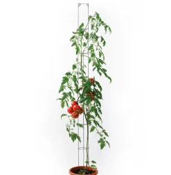bellissa Metall-Tomatensäule, grün