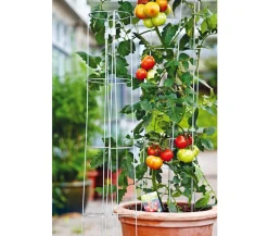 bellissa Tomatenturm