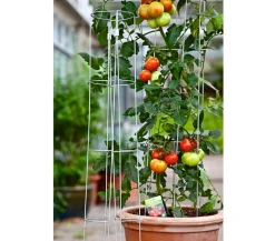 bellissa Tomatenturm