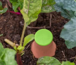 Bio Green Bewässerungssystem Hydro Max