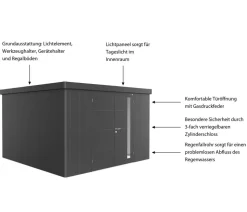 Biohort Gerätehaus Neo 4D, ca. B348/H222/T348 cm