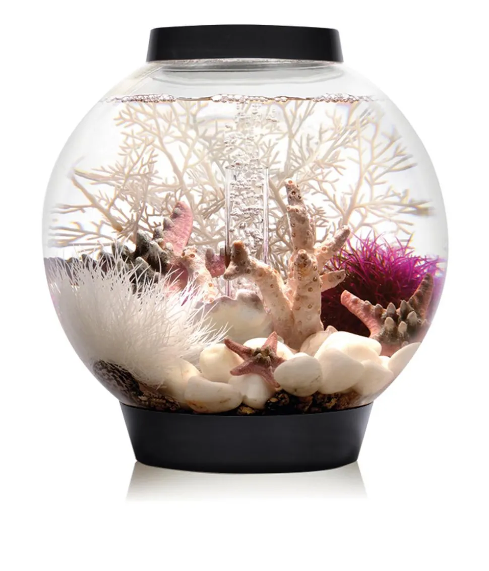 biOrb® Aquarium CLASSIC 15 MCR
