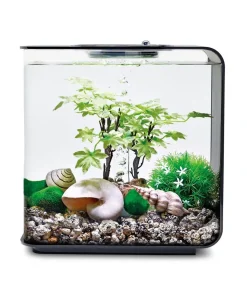 biOrb® Aquariumdeko Decor Set 15 l Sommer