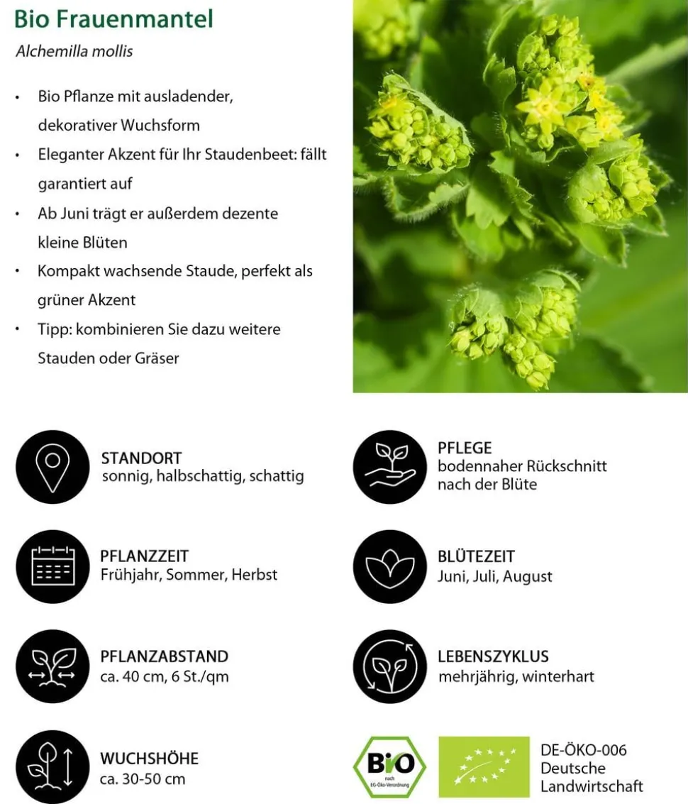 Bio Stauden-Set Alte Liebe, Landlust Kollektion, 18-teilig