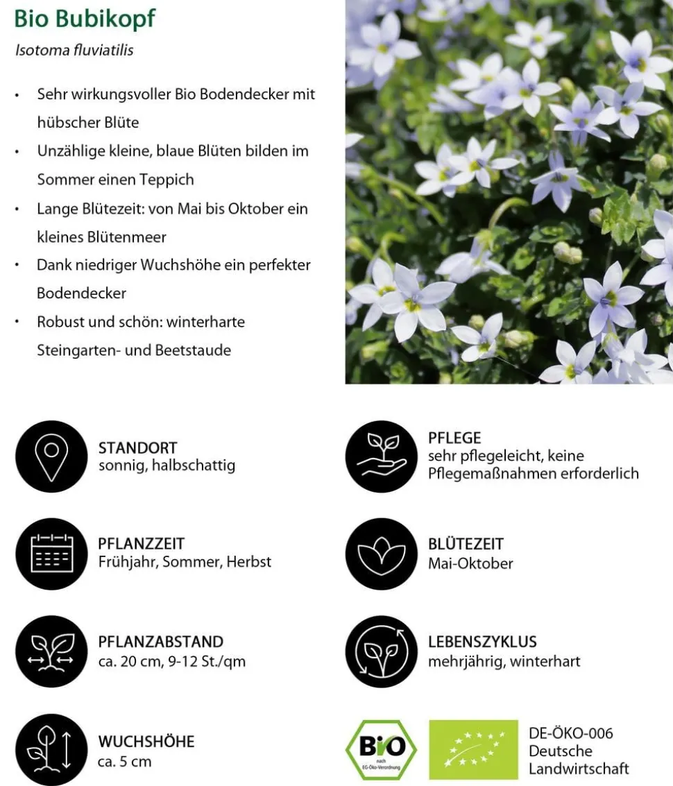 Bio Stauden-Set Blaue Stunde, Landlust Kollektion, 24-teilig