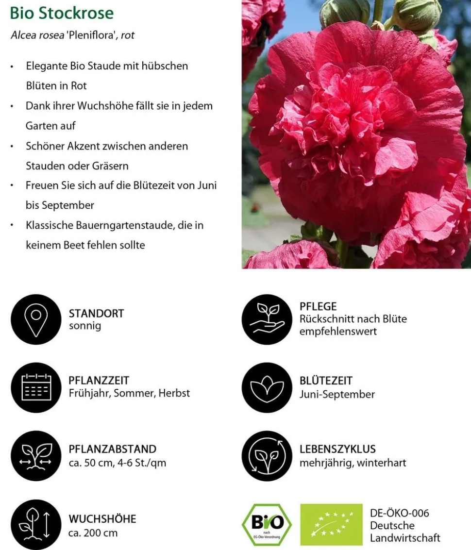 Bio Stauden-Set Bunter Landhausgarten, 12-teilig