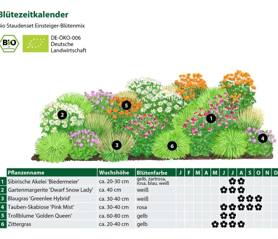 Bio Stauden-Set Einsteiger-Blütenmix, 24-teilig