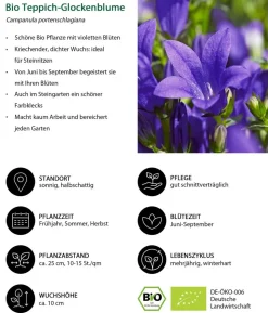 Bio Stauden-Set Großer Alpengarten, 24-teilig