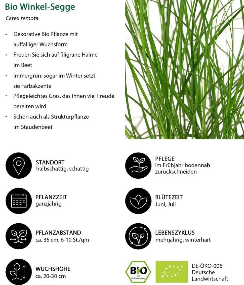 Bio Stauden-Set Heimatgarten, Landlust Kollektion, 24-teilig