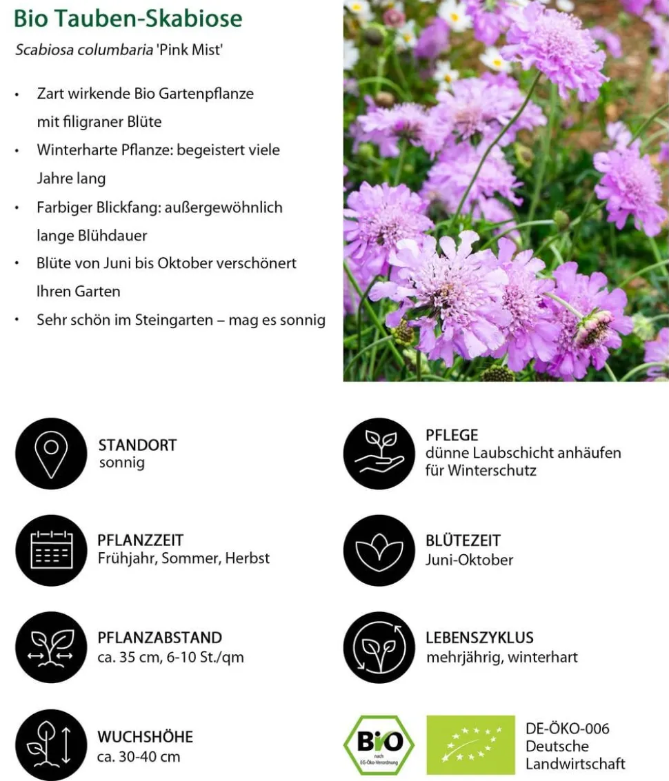 Bio Stauden-Set Heimatgarten, Landlust Kollektion, 24-teilig