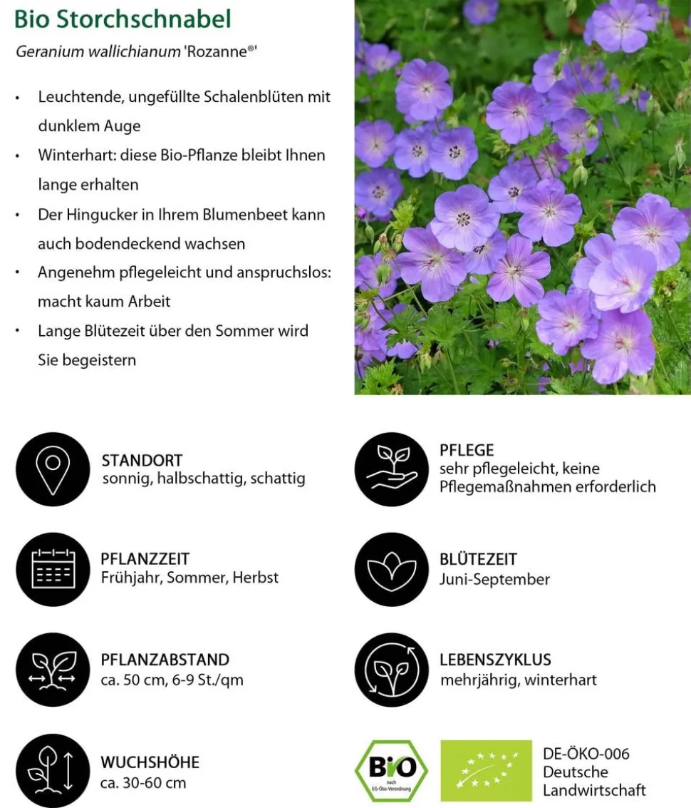 Bio Stauden-Set Romantischer Garten, 12-teilig