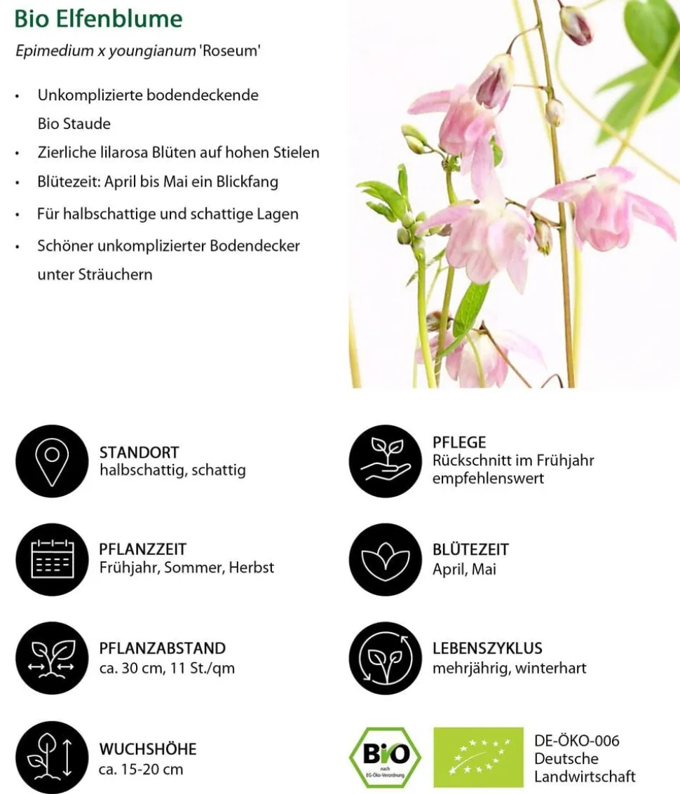 Bio Stauden-Set Schattenparadies, 18-teilig