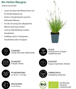 Bio Stauden-Set Sommerglück, 24-teilig