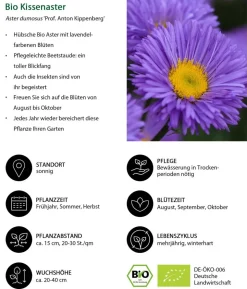 Bio Stauden-Set Weiß-blaues Gartenparadies, 24-teilig