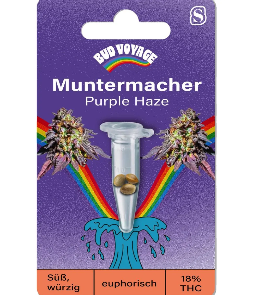 Bud Voyage Hanfsamen Muntermacher Purple Haze, 3 Stk.