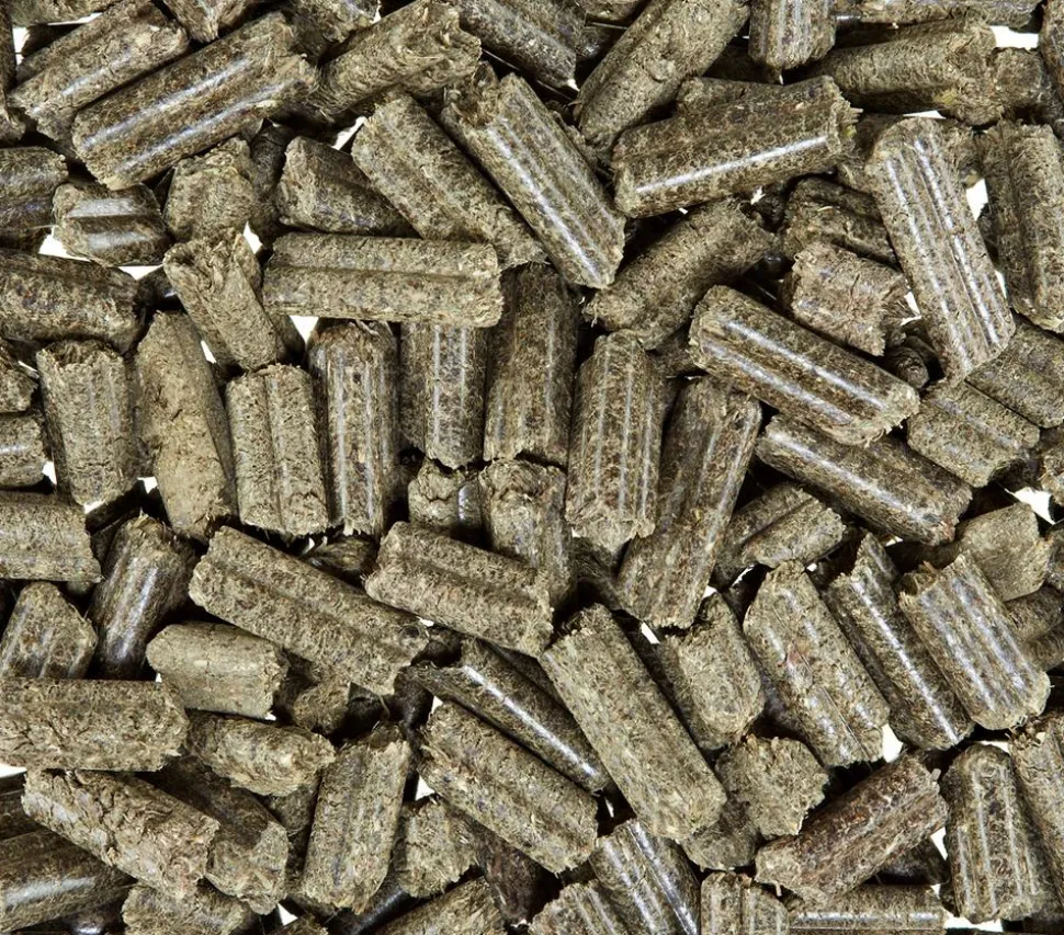 bunny® NATURE Kaninchenfutter KaninchenTraum HERBS