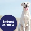 Canosept® Ohrreiniger für Hunde, 125 ml
