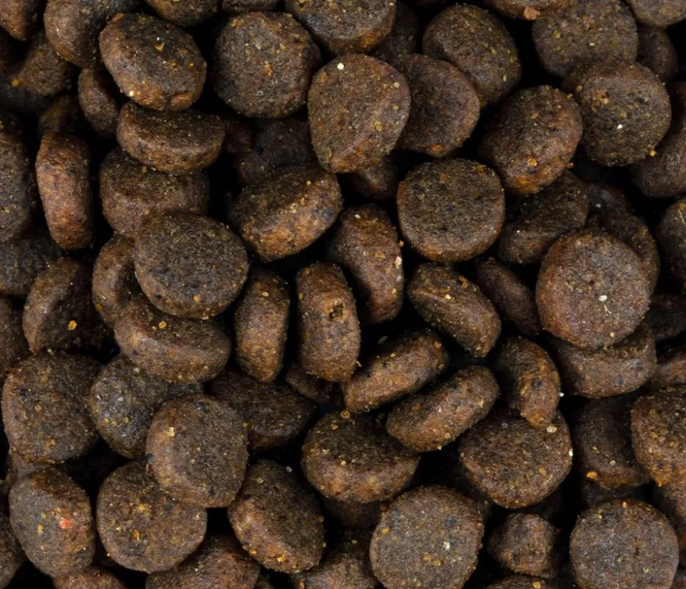 Carnilove Trockenfutter für Hunde Puppy, Lachs & Truthahn
