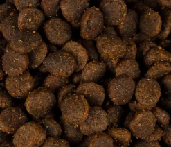 Carnilove Trockenfutter für Katzen Hairball Control Adult, Ente & Fasan
