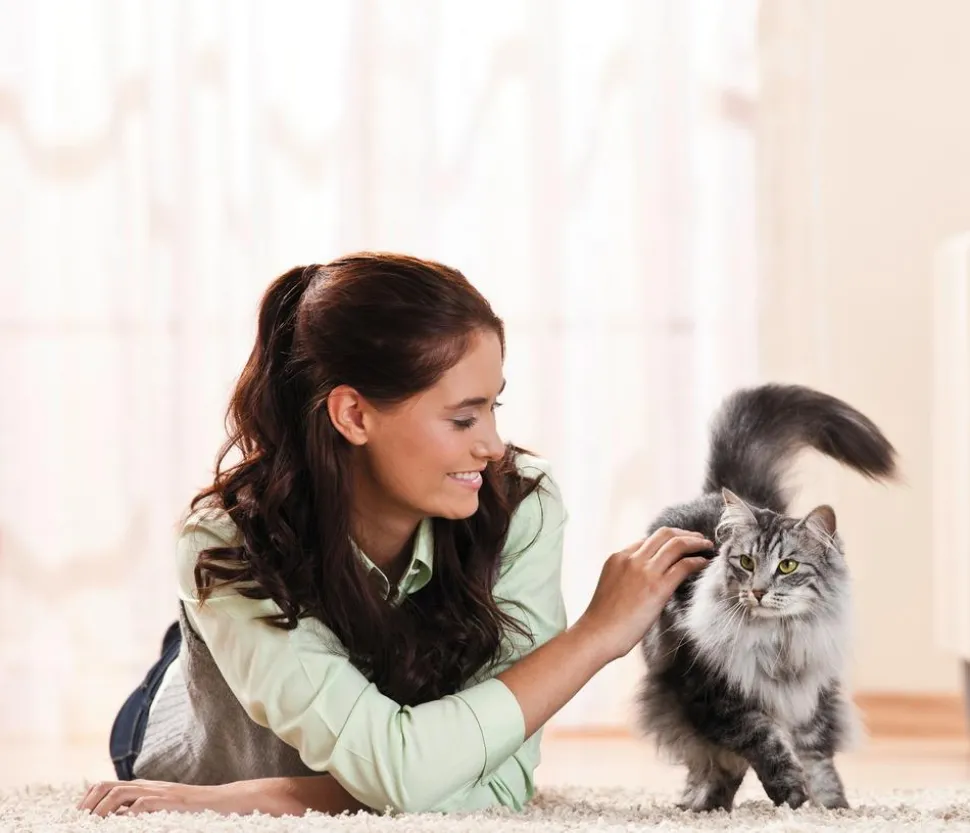 Cativia Katzensnack Katzenmilch, 24 x 95 ml