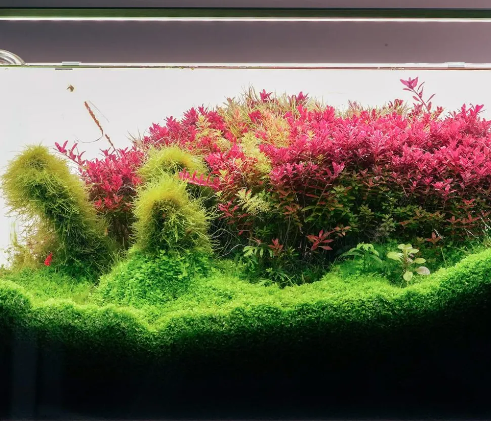 Chihiros Aquariumbeleuchtung LED-System B Serie