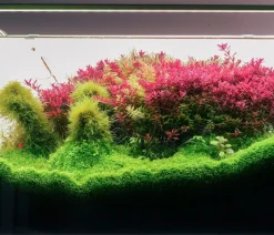 Chihiros Aquariumbeleuchtung LED-System B Serie