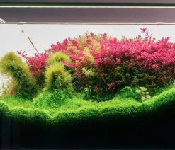 Chihiros Aquariumbeleuchtung LED-System B Serie