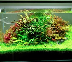 Chihiros Aquariumbeleuchtung LED-System A II Serie