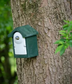 CJ Wildlife WoodStone® Nistkasten Holzbeton, Einflugloch ca. Ø28 mm, grün