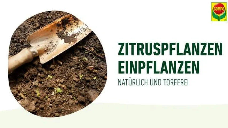 COMPO BIO Zitrus-Pflanzenerde, 10 l