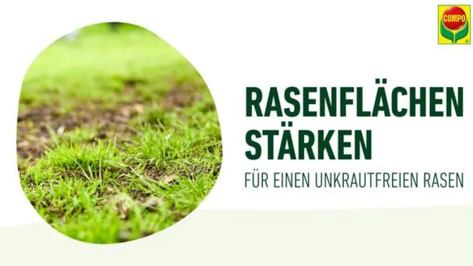 COMPO Rasendünger Unkraut & Moos Nein danke!, 1,3 l