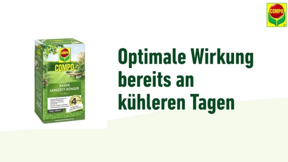 COMPO Rasen Langzeit-Dünger Perfect