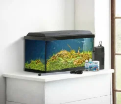 Dehner Aqua Aquarium-Set Aqua Start 60, schwarz