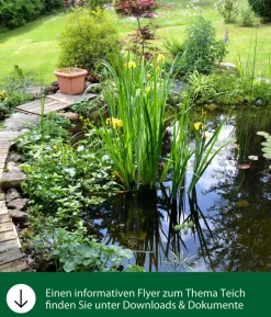 Dehner Aqua Goldfischfutter Flocken Mix