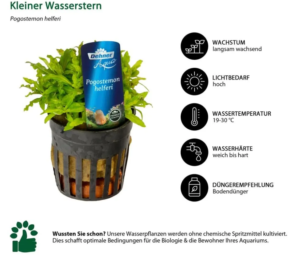 Dehner Aqua Premium Aquarienpflanzen-Set Premium, 15-teilig